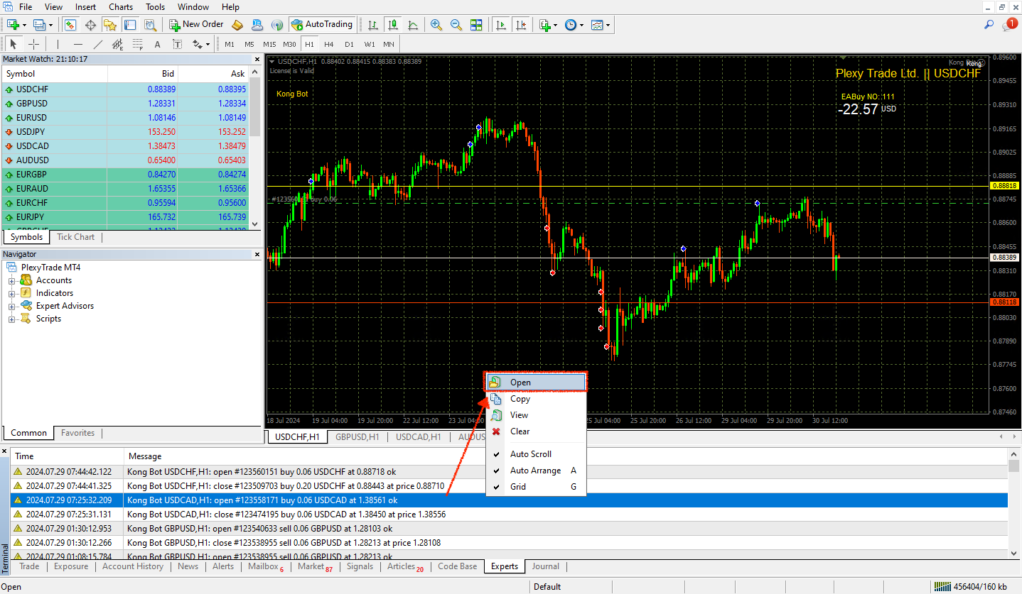 MT4 experts tab open