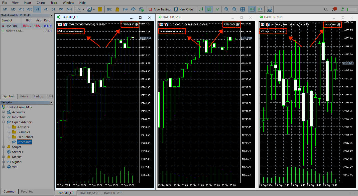 MT4 Athena sad
