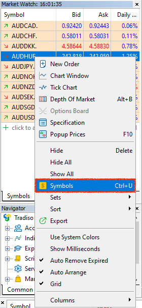 MT5 Market Watch symbols